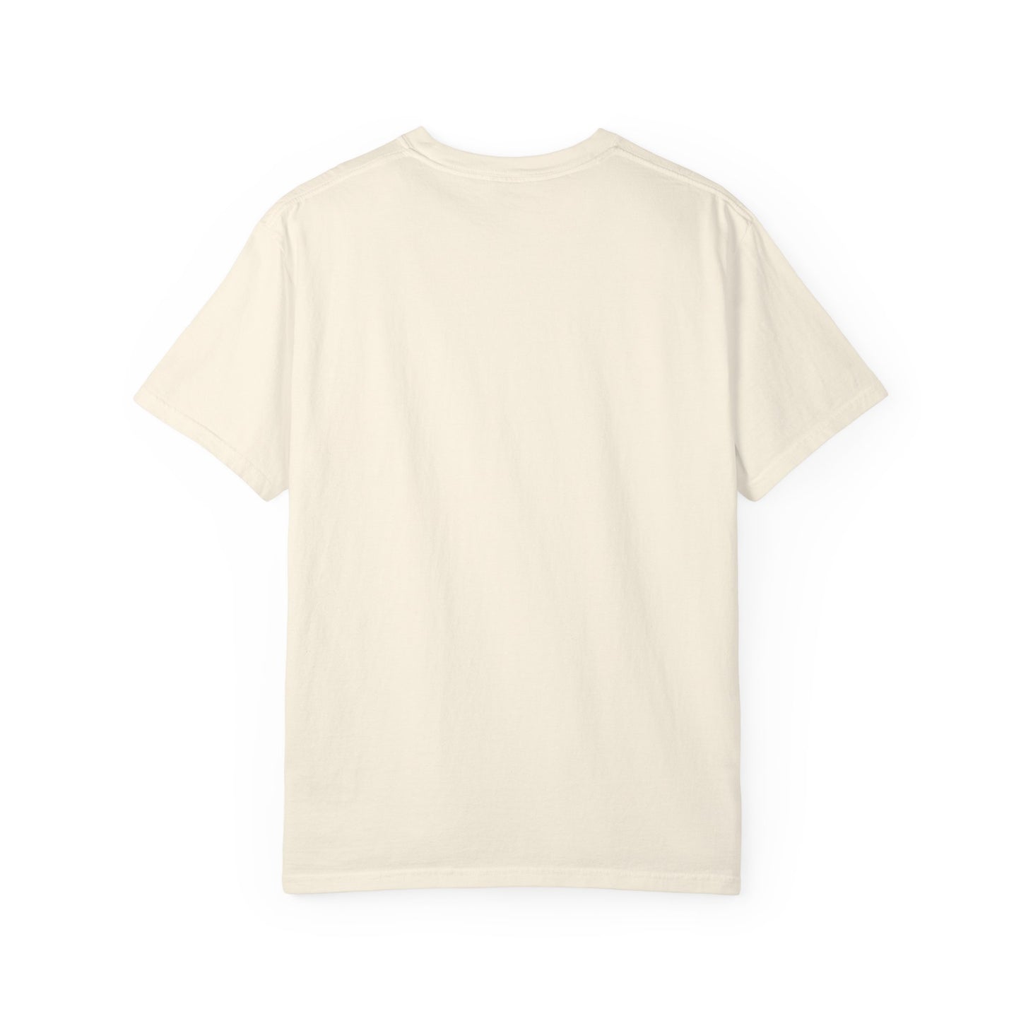 Patriotic T-shirt Stand in Your Truth