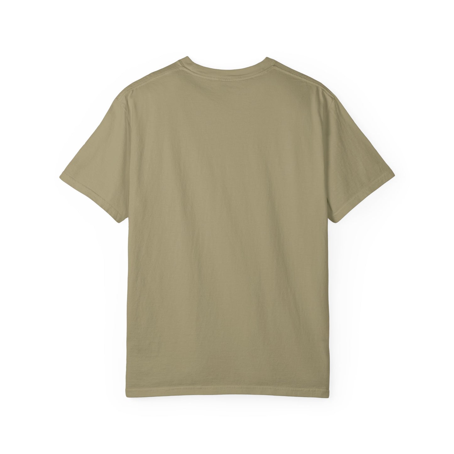 Patriotic T-shirt Stand in Your Truth
