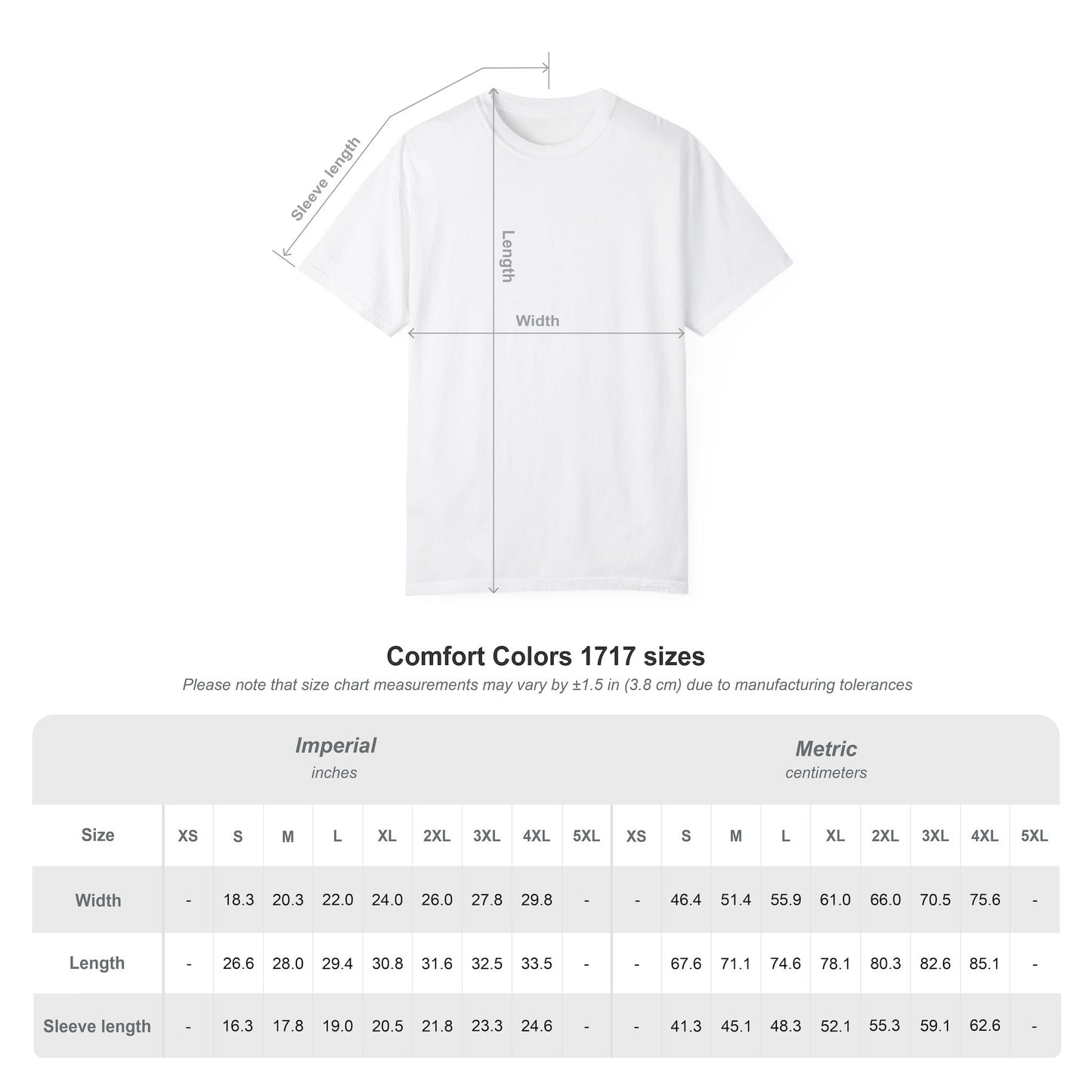 Patriotic T-shirt Stand in Your Truth